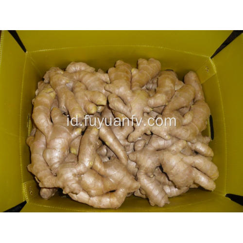 250g Air jahe kering